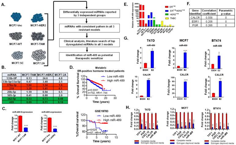 https://cdn.ncbi.nlm.nih.gov/pmc/blobs/1eba/9331933/87915ca57e31/ijms-23-08086-g001.jpg