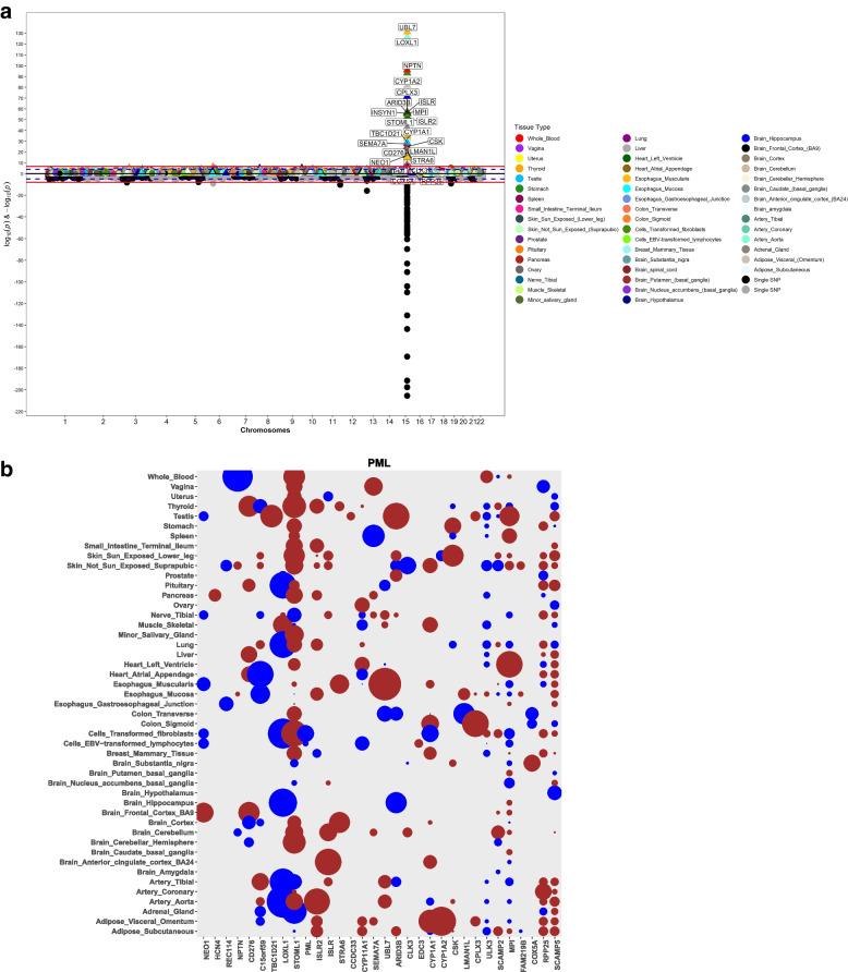 https://cdn.ncbi.nlm.nih.gov/pmc/blobs/1eba/9936777/7ee6bb406cd8/12864_2023_9179_Fig1_HTML.jpg