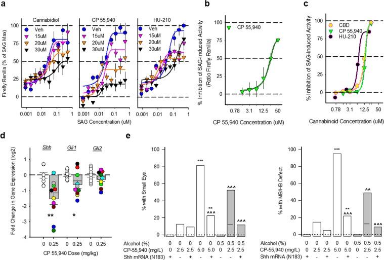 https://cdn.ncbi.nlm.nih.gov/pmc/blobs/1ebc/6831672/5b0a84f7729a/41598_2019_52336_Fig4_HTML.jpg