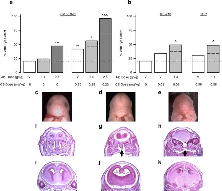 https://cdn.ncbi.nlm.nih.gov/pmc/blobs/1ebc/6831672/a9ab3ceb0098/41598_2019_52336_Fig2_HTML.jpg