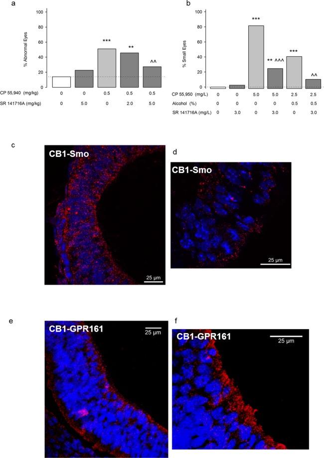 https://cdn.ncbi.nlm.nih.gov/pmc/blobs/1ebc/6831672/d7d8ac97e830/41598_2019_52336_Fig5_HTML.jpg