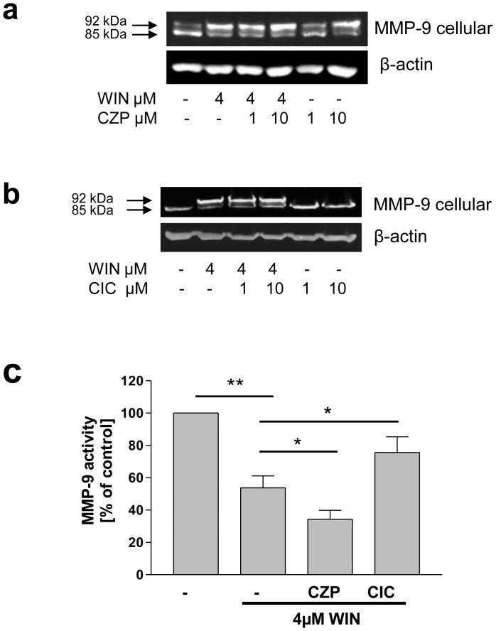 https://cdn.ncbi.nlm.nih.gov/pmc/blobs/1ebe/3491062/4ecb226c2b8a/pone.0048272.g006.jpg
