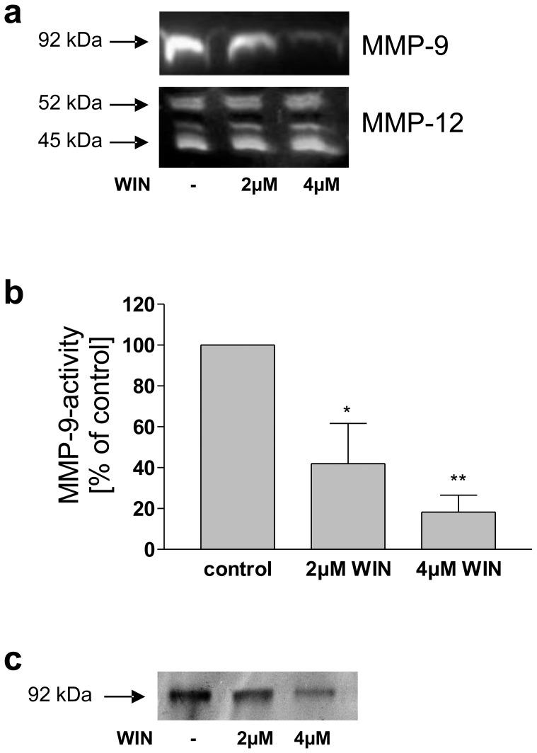 https://cdn.ncbi.nlm.nih.gov/pmc/blobs/1ebe/3491062/ed1ad69301bb/pone.0048272.g001.jpg