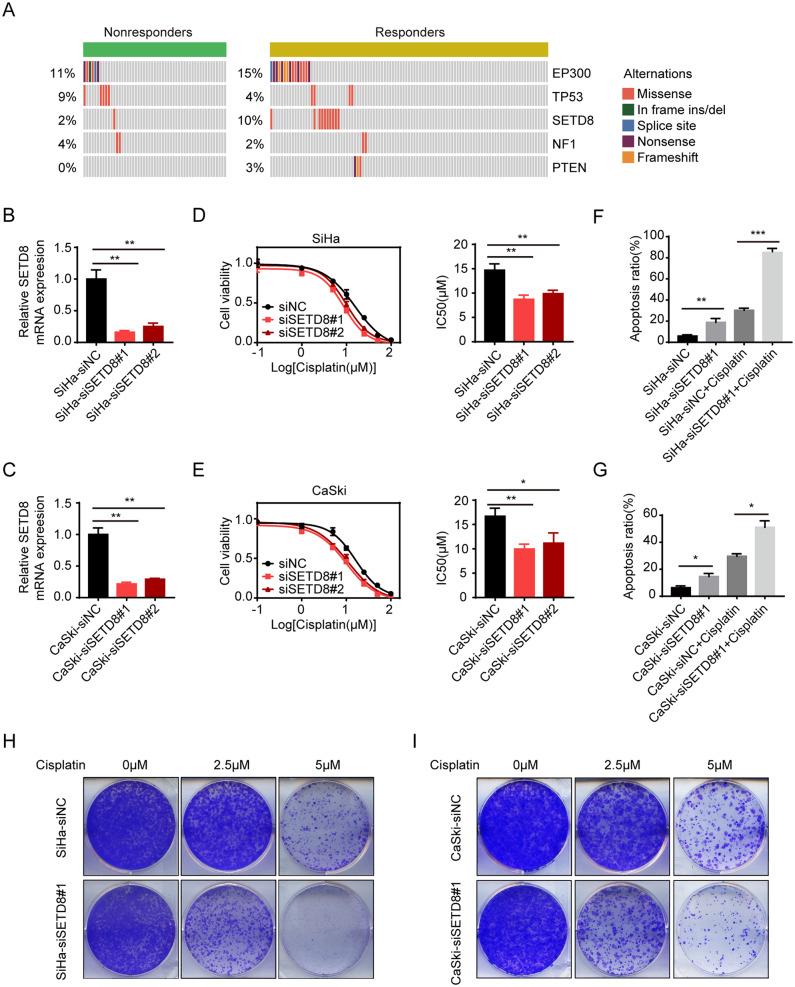 https://cdn.ncbi.nlm.nih.gov/pmc/blobs/1ebf/10262521/4cd588523c39/13578_2023_1054_Fig2_HTML.jpg