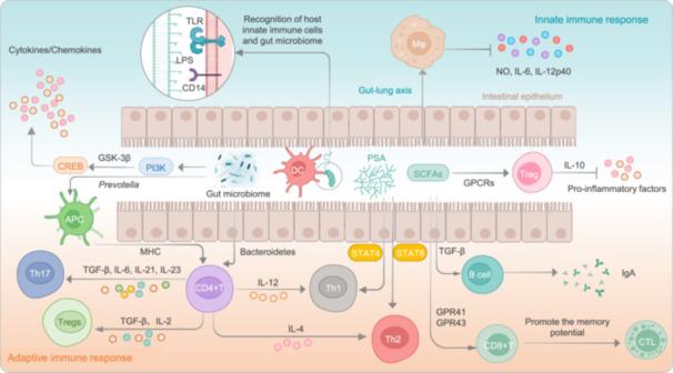 https://cdn.ncbi.nlm.nih.gov/pmc/blobs/1ebf/12371273/47f63e4da2c1/IMT2-4-e70054-g013.jpg