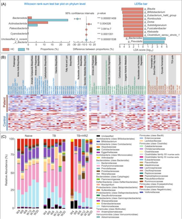 https://cdn.ncbi.nlm.nih.gov/pmc/blobs/1ebf/12371273/7563928c9c33/IMT2-4-e70054-g002.jpg