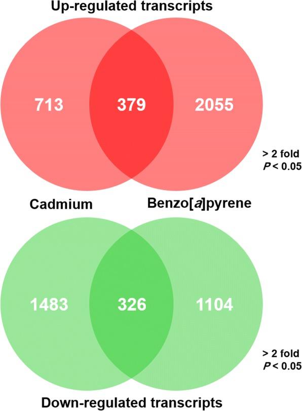 https://cdn.ncbi.nlm.nih.gov/pmc/blobs/1ebf/6240204/577910c9ecb8/41065_2018_75_Fig2_HTML.jpg