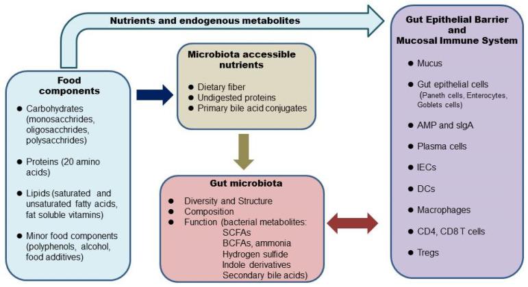 https://cdn.ncbi.nlm.nih.gov/pmc/blobs/1ec2/9455721/b520f0153f01/ijms-23-09588-g001.jpg