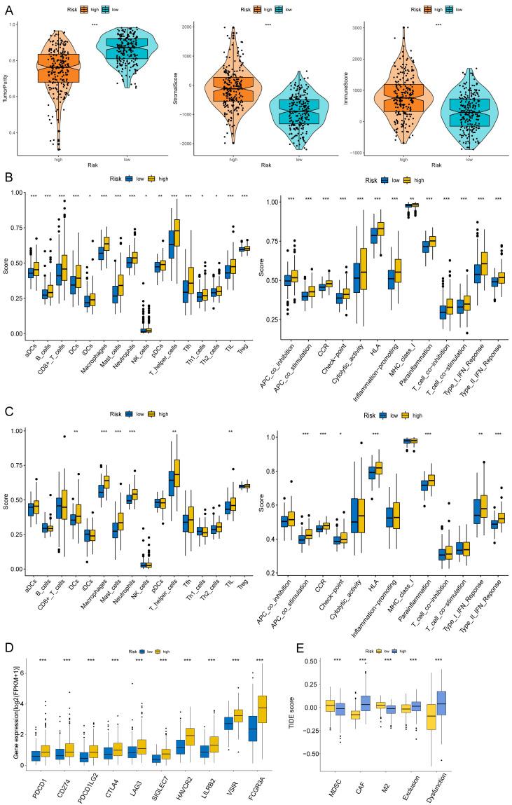 https://cdn.ncbi.nlm.nih.gov/pmc/blobs/1ec3/10367930/72ec9b557968/jcav14p2109g008.jpg
