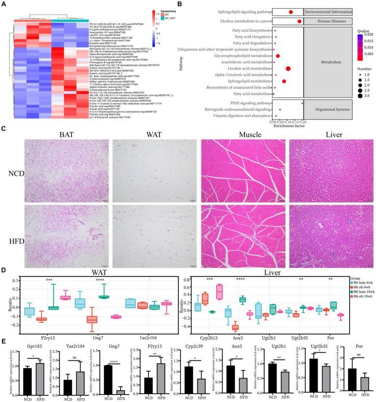 https://cdn.ncbi.nlm.nih.gov/pmc/blobs/1ec3/11002099/4c5754be5cc5/fnut-11-1381779-g004.jpg