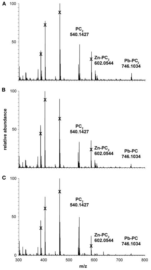 https://cdn.ncbi.nlm.nih.gov/pmc/blobs/1ec3/3277950/4943337f751b/fmicb-03-00041-g008.jpg