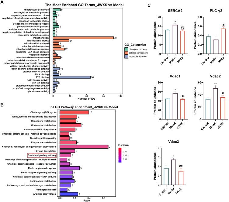 https://cdn.ncbi.nlm.nih.gov/pmc/blobs/1ec4/11568854/0c96b121a4fd/DDDT-18-5129-g0007.jpg