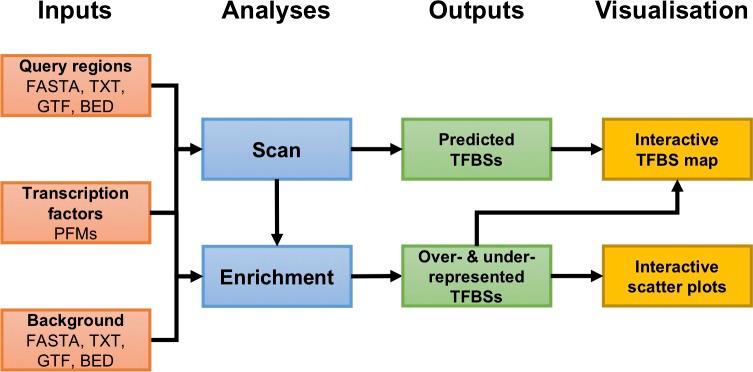 https://cdn.ncbi.nlm.nih.gov/pmc/blobs/1ec4/6726224/82977eaa6470/pone.0215495.g001.jpg
