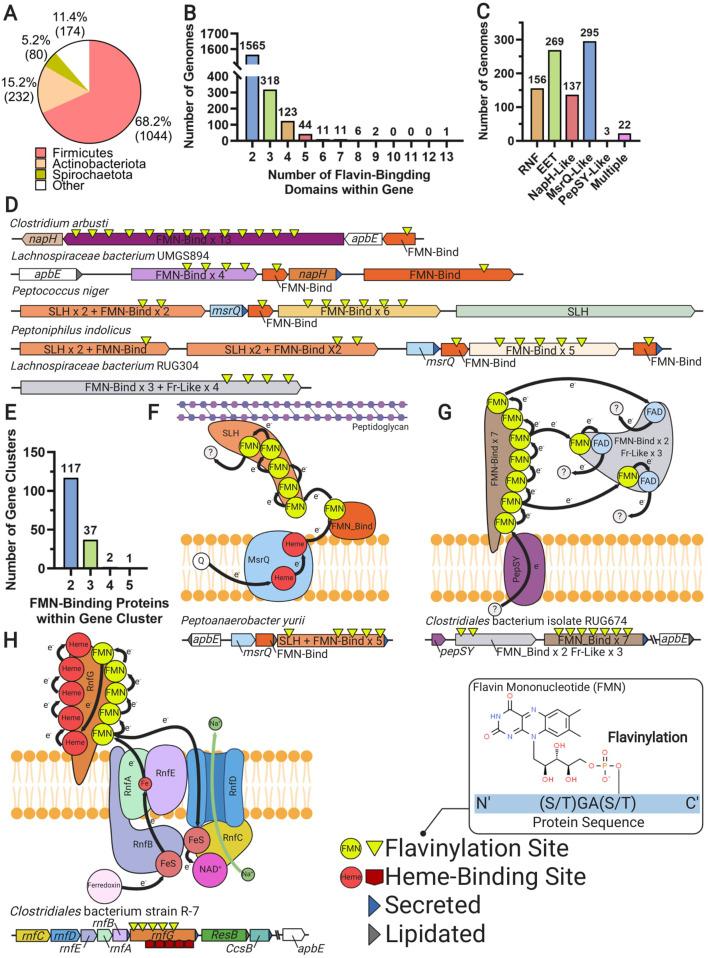 https://cdn.ncbi.nlm.nih.gov/pmc/blobs/1ec5/8238504/07fbee9828c5/elife-66878-fig6.jpg