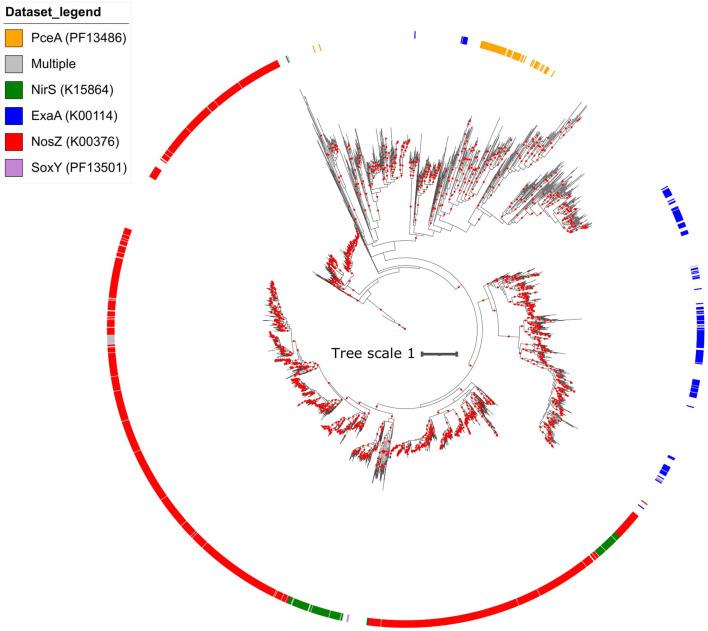 https://cdn.ncbi.nlm.nih.gov/pmc/blobs/1ec5/8238504/89ec2a522d4d/elife-66878-fig4-figsupp2.jpg