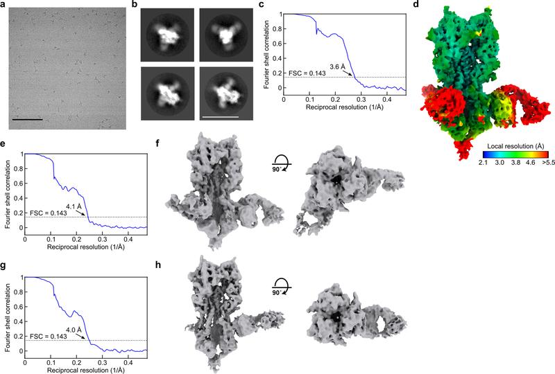 https://cdn.ncbi.nlm.nih.gov/pmc/blobs/1ec5/8269962/32a8bdeada9d/nihms-1675113-f0014.jpg