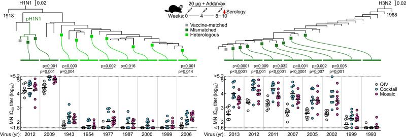 https://cdn.ncbi.nlm.nih.gov/pmc/blobs/1ec5/8269962/cb5995edd72f/nihms-1675113-f0011.jpg