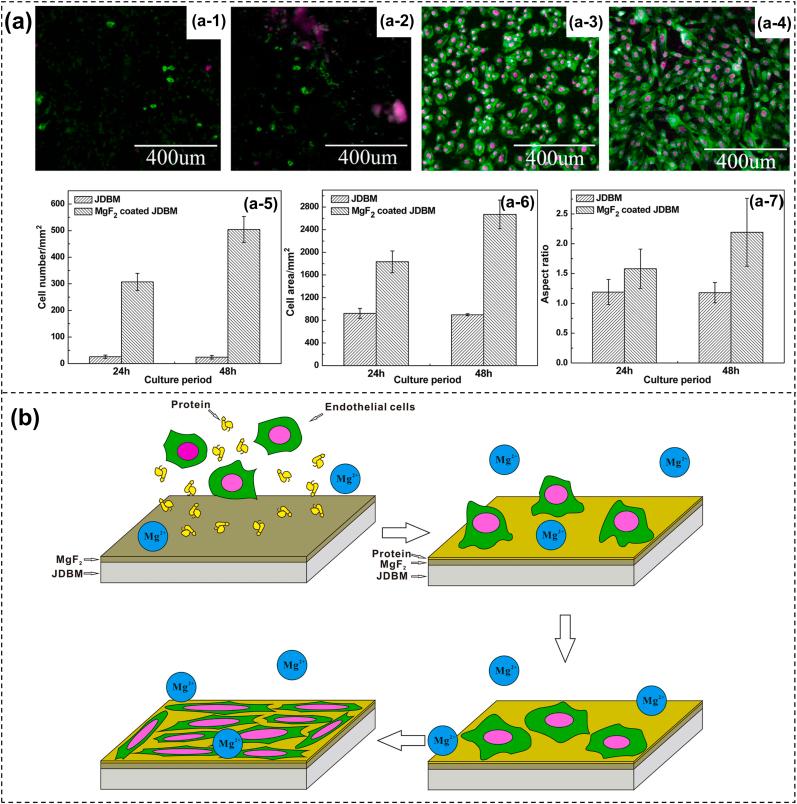 https://cdn.ncbi.nlm.nih.gov/pmc/blobs/1eca/8166647/51f6b1ebc357/gr5.jpg
