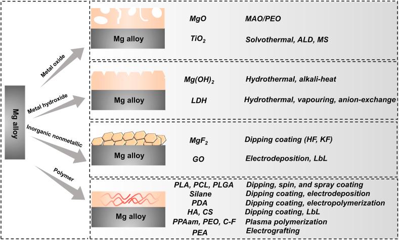 https://cdn.ncbi.nlm.nih.gov/pmc/blobs/1eca/8166647/fb844081e8b4/gr3.jpg