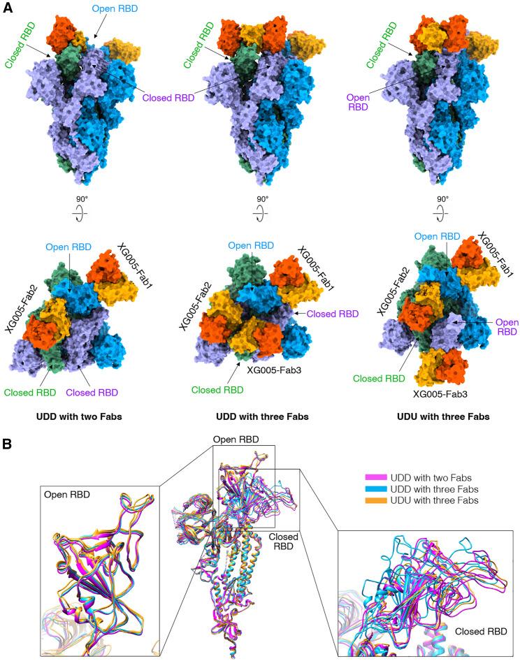 https://cdn.ncbi.nlm.nih.gov/pmc/blobs/1ecb/10154539/2ac533a1a664/gr3_lrg.jpg