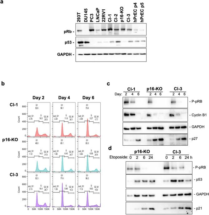 https://cdn.ncbi.nlm.nih.gov/pmc/blobs/1ecb/11369182/6c1fe64be95e/41598_2024_71306_Fig4_HTML.jpg