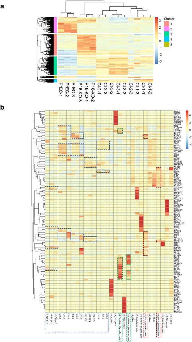 https://cdn.ncbi.nlm.nih.gov/pmc/blobs/1ecb/11369182/a38cdf4827e3/41598_2024_71306_Fig7_HTML.jpg