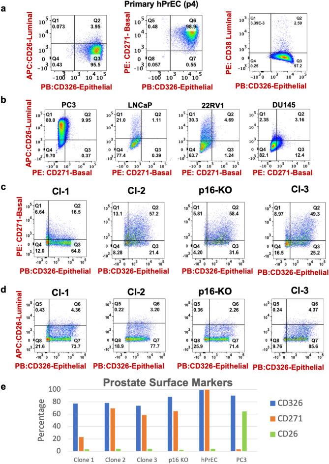 https://cdn.ncbi.nlm.nih.gov/pmc/blobs/1ecb/11369182/b2d03faaa41f/41598_2024_71306_Fig5_HTML.jpg