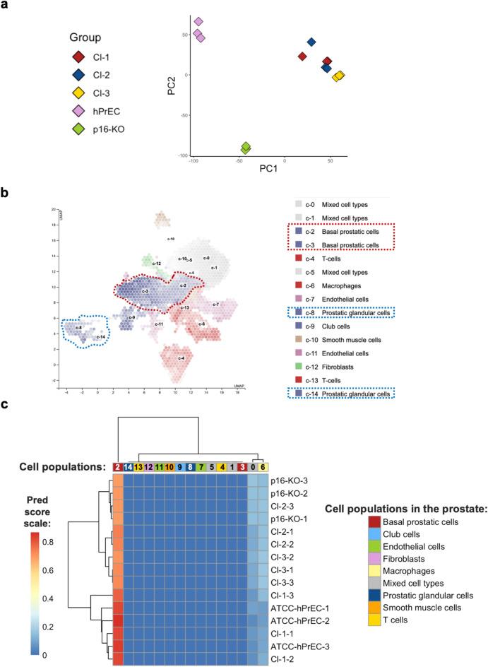 https://cdn.ncbi.nlm.nih.gov/pmc/blobs/1ecb/11369182/bfa674d64e21/41598_2024_71306_Fig6_HTML.jpg