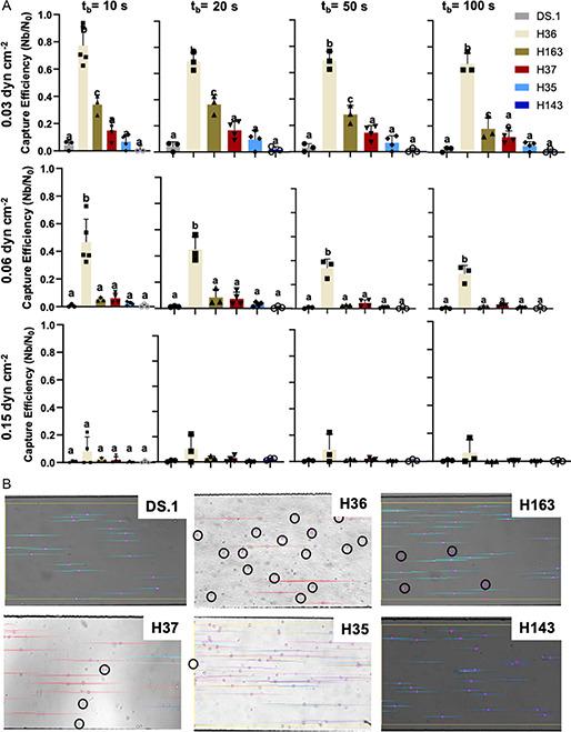 https://cdn.ncbi.nlm.nih.gov/pmc/blobs/1ecb/12203763/0c5d311586b6/ANBR-4-0-g007.jpg