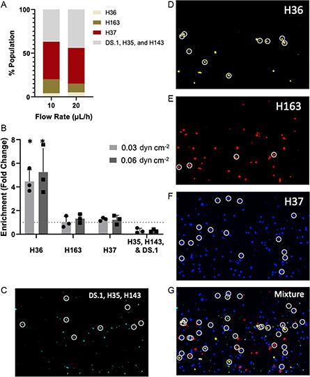 https://cdn.ncbi.nlm.nih.gov/pmc/blobs/1ecb/12203763/18cd7f33526c/ANBR-4-0-g006.jpg