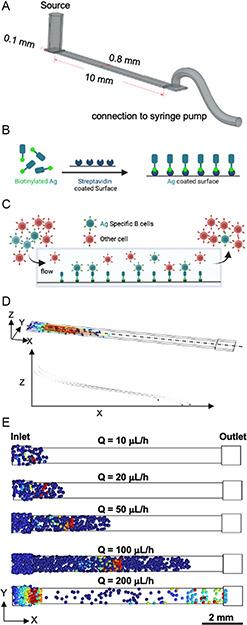 https://cdn.ncbi.nlm.nih.gov/pmc/blobs/1ecb/12203763/196270f7ecb5/ANBR-4-0-g002.jpg