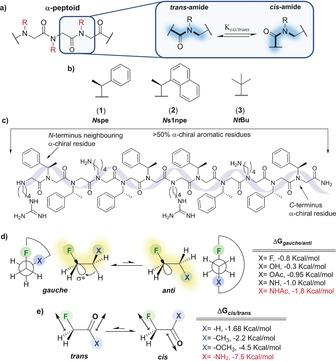 https://cdn.ncbi.nlm.nih.gov/pmc/blobs/1ecc/6099454/e0712bdd7965/ANIE-57-10549-g001.jpg