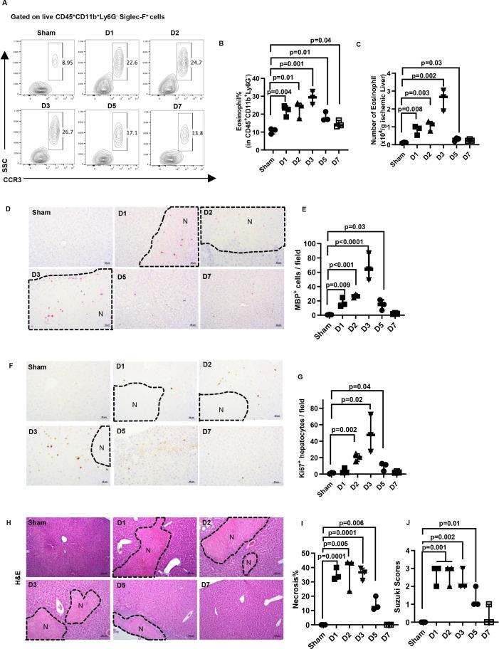 https://cdn.ncbi.nlm.nih.gov/pmc/blobs/1ecd/11347249/30f7d39682c0/gutjnl-2024-332033f01.jpg