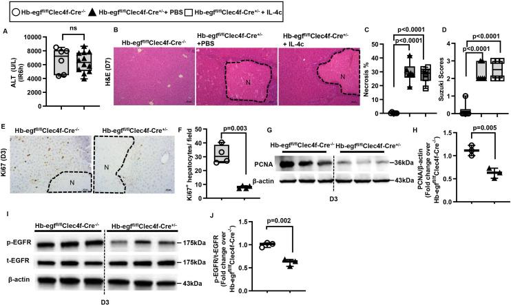 https://cdn.ncbi.nlm.nih.gov/pmc/blobs/1ecd/11347249/52aa975b5229/gutjnl-2024-332033f06.jpg