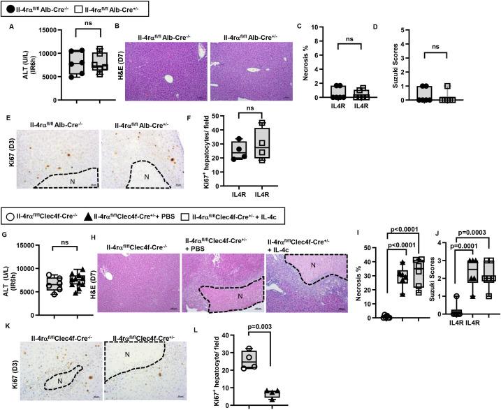 https://cdn.ncbi.nlm.nih.gov/pmc/blobs/1ecd/11347249/5cf9acf05934/gutjnl-2024-332033f04.jpg