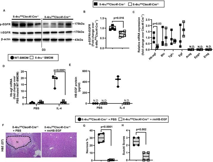 https://cdn.ncbi.nlm.nih.gov/pmc/blobs/1ecd/11347249/ac058cdcec6d/gutjnl-2024-332033f05.jpg