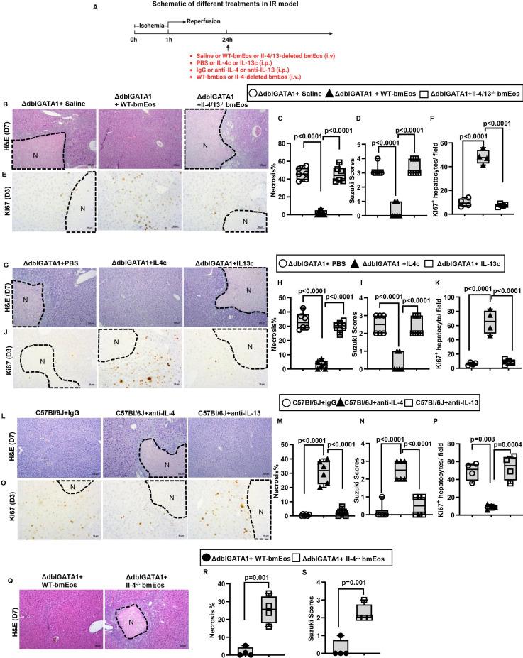 https://cdn.ncbi.nlm.nih.gov/pmc/blobs/1ecd/11347249/bd3bb9b2984c/gutjnl-2024-332033f03.jpg