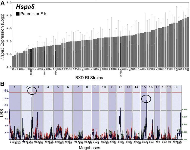 https://cdn.ncbi.nlm.nih.gov/pmc/blobs/1ecf/5108462/6e0806e39bb6/mv-v22-1318-f3.jpg