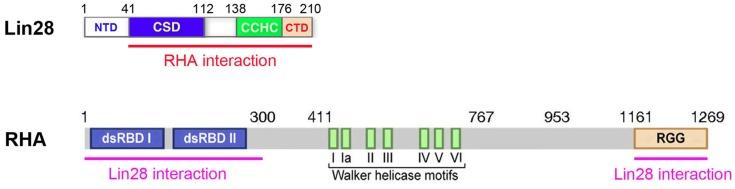 https://cdn.ncbi.nlm.nih.gov/pmc/blobs/1ed2/3499807/8ab6fe473d07/fgene-03-00240-g002.jpg