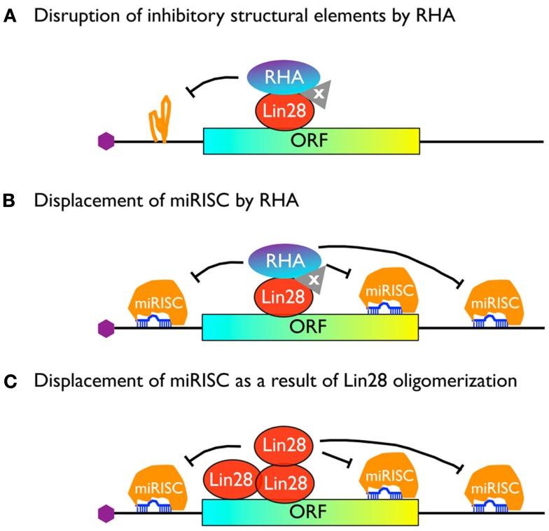 https://cdn.ncbi.nlm.nih.gov/pmc/blobs/1ed2/3499807/9a5582cd335c/fgene-03-00240-g003.jpg