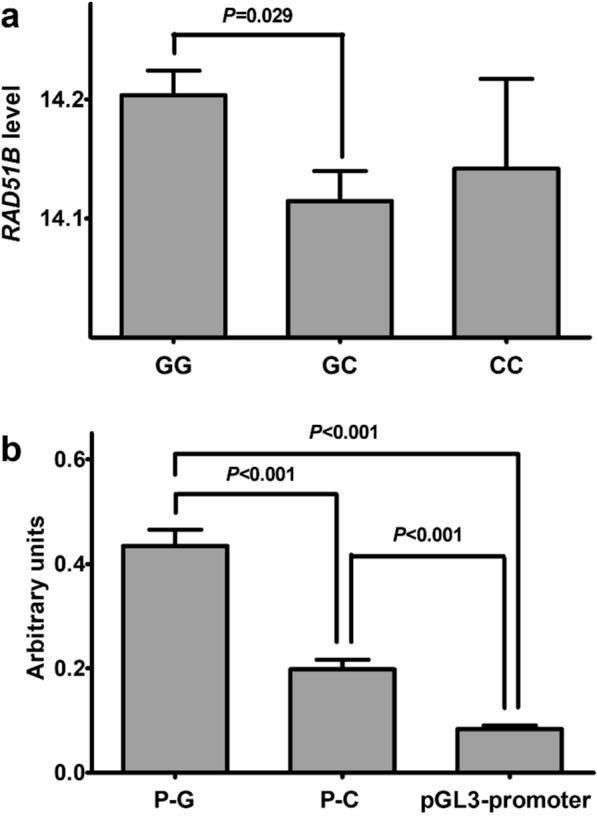 https://cdn.ncbi.nlm.nih.gov/pmc/blobs/1ed3/10585866/d2440044b709/12935_2023_3100_Fig3_HTML.jpg