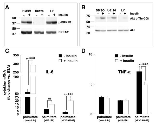 https://cdn.ncbi.nlm.nih.gov/pmc/blobs/1ed8/2988002/0c67073e25a2/1475-2840-9-73-5.jpg
