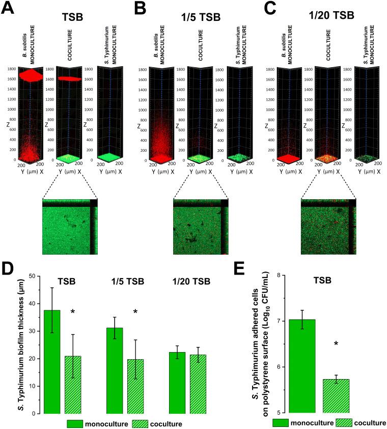 https://cdn.ncbi.nlm.nih.gov/pmc/blobs/1ed8/9769773/dfbc29da74a9/spectrum.01836-22-f002.jpg