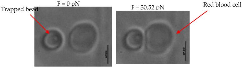 https://cdn.ncbi.nlm.nih.gov/pmc/blobs/1ed9/8468094/472a5db7c025/micromachines-12-01024-g003.jpg