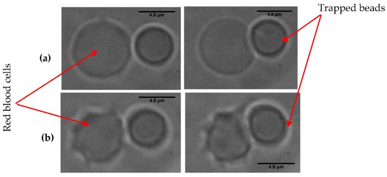 https://cdn.ncbi.nlm.nih.gov/pmc/blobs/1ed9/8468094/96d6a9a6ad37/micromachines-12-01024-g004.jpg