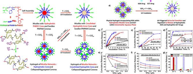 https://cdn.ncbi.nlm.nih.gov/pmc/blobs/1edb/11440768/400acfaf9c71/12967_2024_5490_Fig5_HTML.jpg