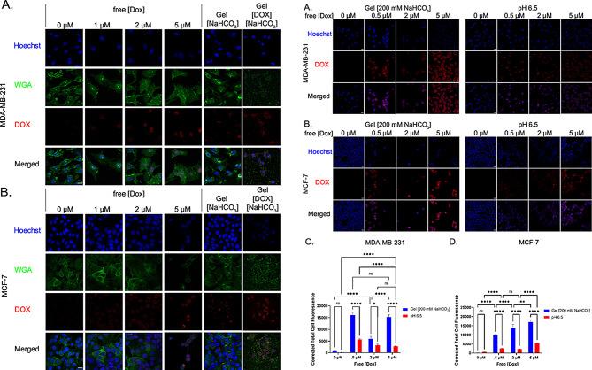 https://cdn.ncbi.nlm.nih.gov/pmc/blobs/1edb/11440768/458ce044ae25/12967_2024_5490_Fig4_HTML.jpg
