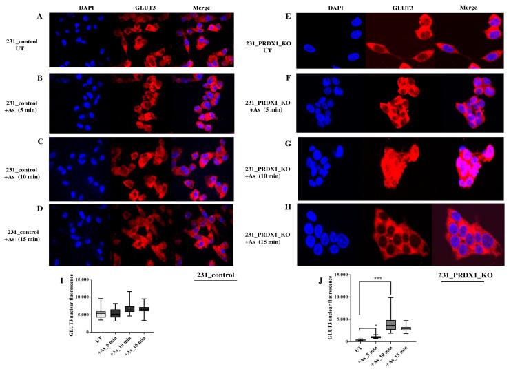 https://cdn.ncbi.nlm.nih.gov/pmc/blobs/1edc/10705171/a5970dce3a0e/cells-12-02682-g004.jpg