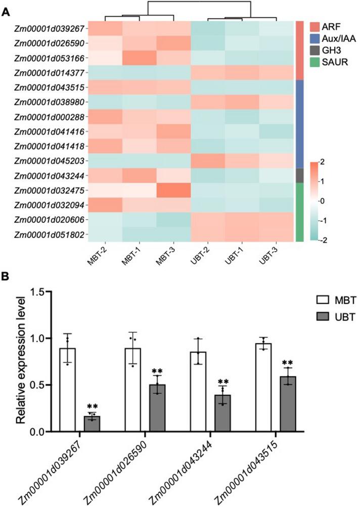 https://cdn.ncbi.nlm.nih.gov/pmc/blobs/1edd/12057285/b55a9002f178/12870_2025_6607_Fig6_HTML.jpg