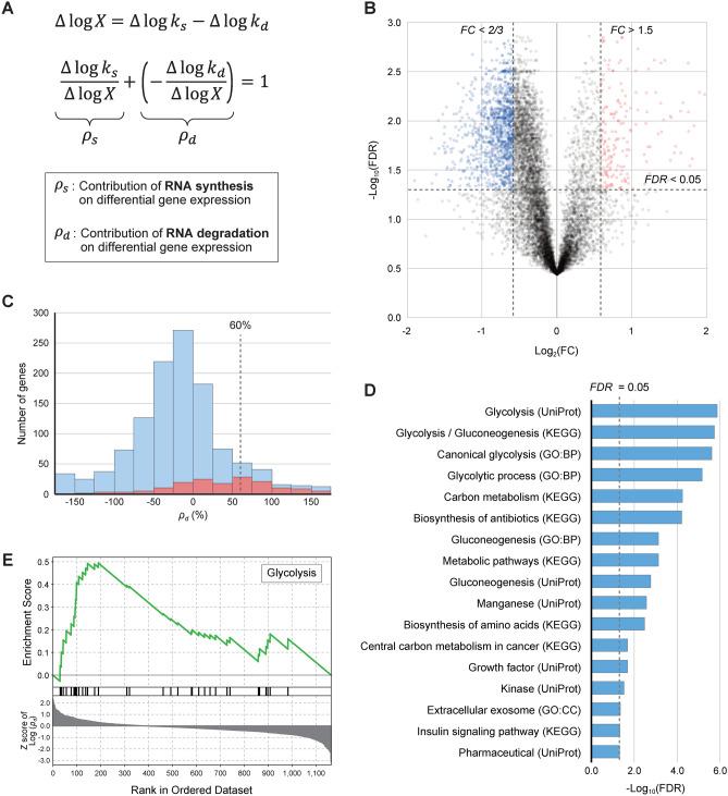https://cdn.ncbi.nlm.nih.gov/pmc/blobs/1ee0/12006372/70f42df3c449/41598_2025_91828_Fig2_HTML.jpg